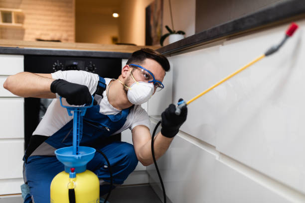 Glens Falls North, NY Pest Control Company