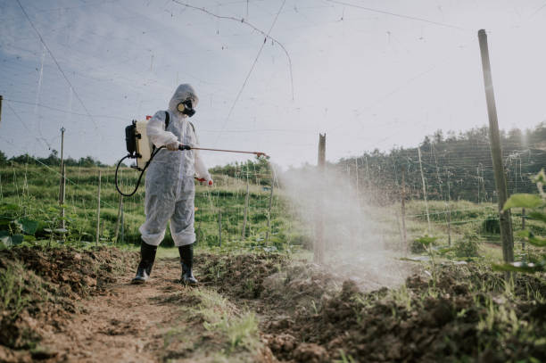 Best Commercial Pest Control Services  in Glens Falls North, NY