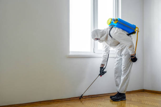 Best Emergency Pest Control  in Glens Falls North, NY