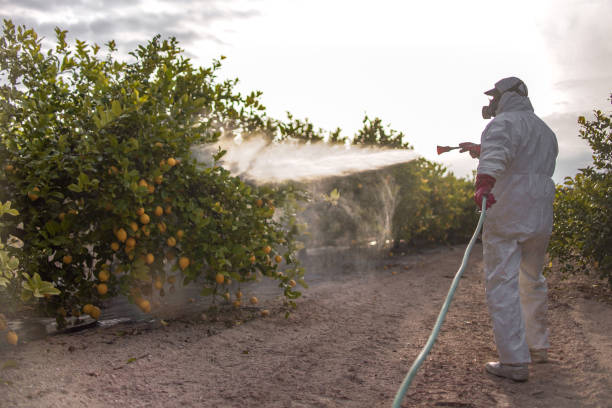 Best Affordable Pest Control Services  in Glens Falls North, NY