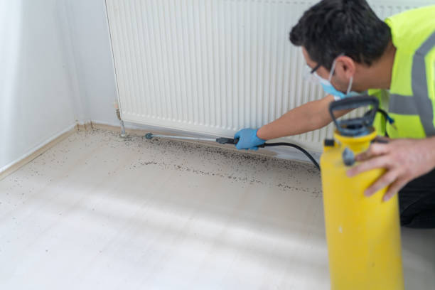 Best Pest Control Near Me  in Glens Falls North, NY