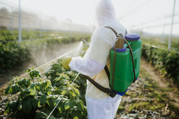 Best Pest Removal Services  in Glens Falls North, NY